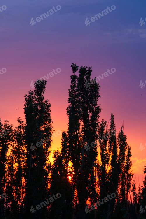 Preview: Landscape With Dramatic Light