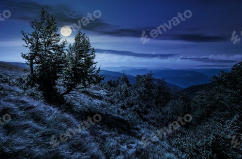 Preview: Forest Around The Meadow On A Steep Mountain Slope At Night In Full Moon Light