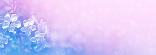 Preview: Blossoming Branch Apple. Bright Colorful Spring Flowers