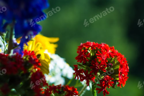 Preview: A Bouquet Of Bright Spring Flowers Of Various Types