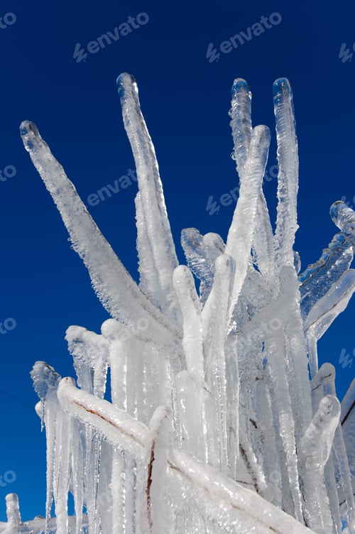 Preview: Ice-Covered Tree Branches Against Dark Blue Sky