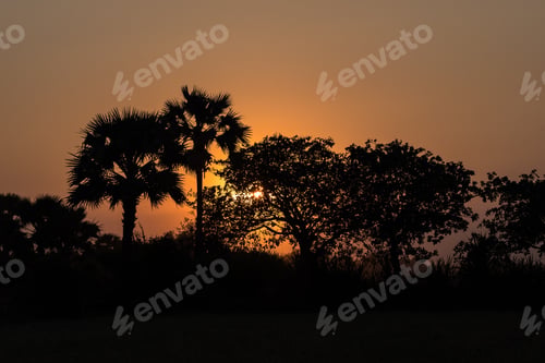 Preview: Beautiful Countryside View In Tropical Rural District, Siem Reap, Cambodia