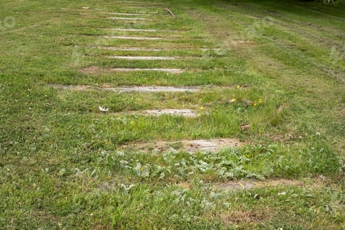 Preview: Remains Of An Old Railroad Track Under Grass