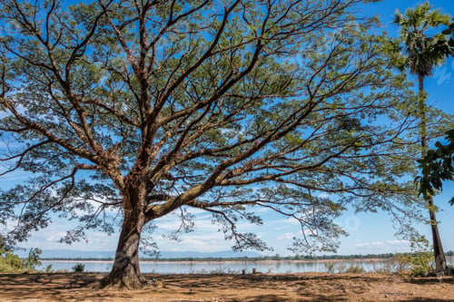 Preview: Landscape View On The Way From Wat Phou To The Nakasong Islands In Laos.