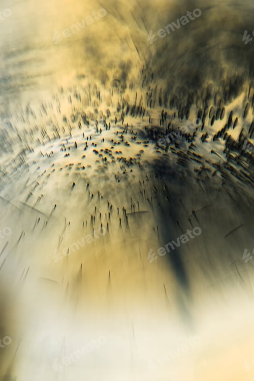 Preview: Abstract Underwater Games With Bubbles, Jelly Balls And Light