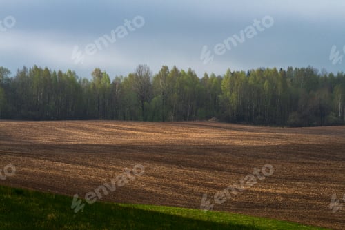 Preview: Agricultural Fields In Springtime