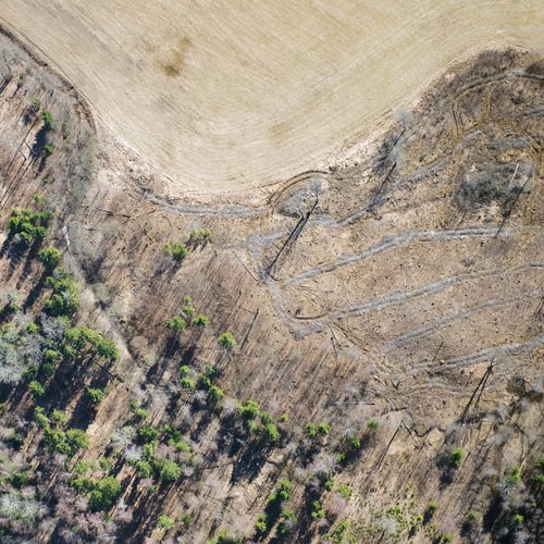 Preview: Aerial View Over The Rural Field
