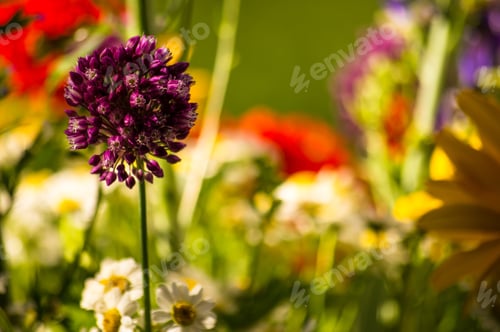 Preview: A Bouquet Of Bright Spring Flowers Of Various Types