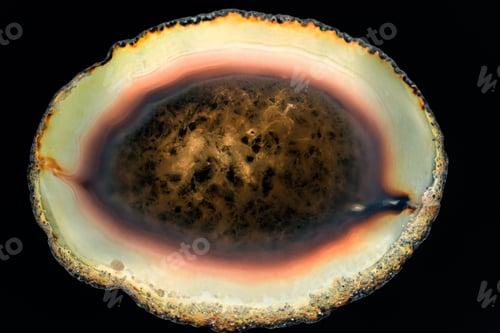 Preview: Agate And Quartz Slice - Beautiful Texture