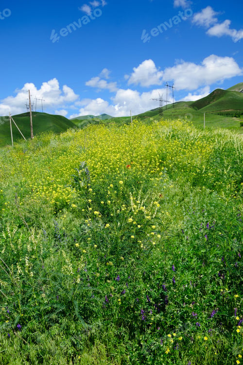 Preview: Summer Landscape