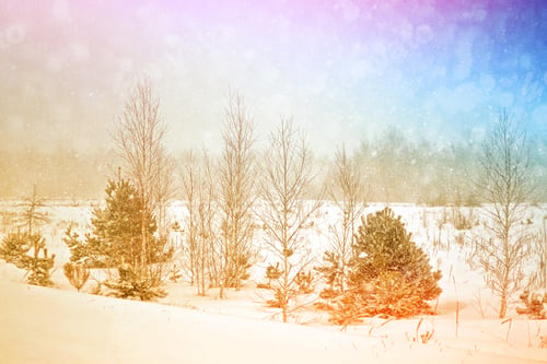 Preview: Blurred Background. Frozen Winter Forest With Snow Covered Trees.