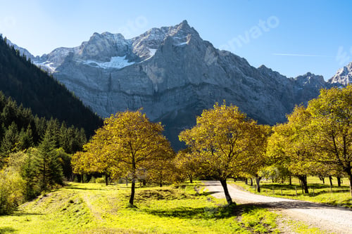 Preview: Colorful Maple Tree At Grosser Ahornboden In The Impressive Karwendel Mountains, Tyrol, Austria.