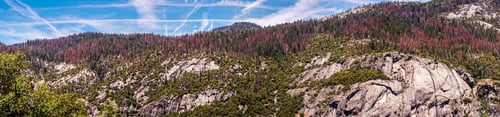 Preview: Picturesque Panorama Of The Mountain Valley Of Yosemite In The Summer. Yosemite National Park