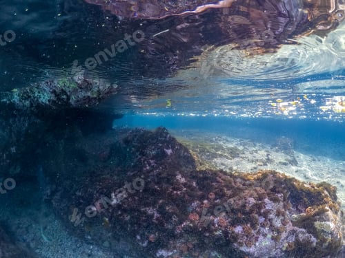 Preview: Snorkelling With Turtles Views Arund The Small Caribbean Island Of Curacao