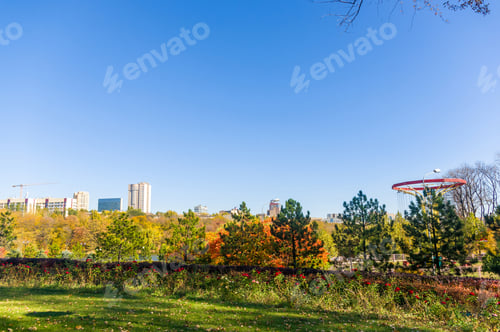 Preview: Autumn Urban Landscape On A Sunny Day - Yellow Autumn Trees In The Park, Colorful Red And Orange