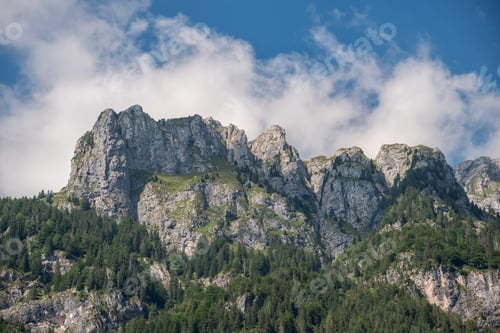 Preview: Forest And Trees In The Mountain Landscape