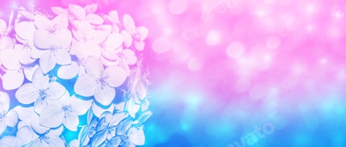 Preview: Colorful Hydrangea Flowers. Blurred Natural Floral Background.