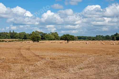Preview: Blue Skies And Fields In The British Summertime.