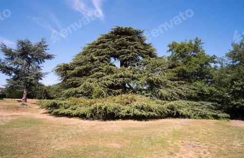 Preview: Elvaston Castle Country Park, Derbyshire, Uk During The Summer Heatwave 2018