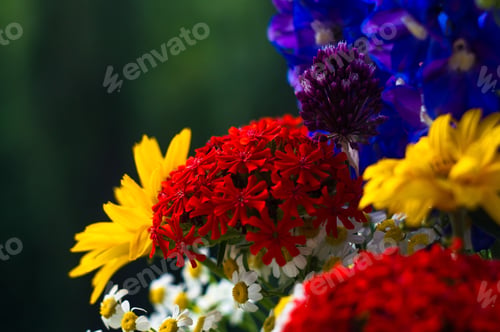 Preview: A Colorful Bouquet Of Bright Spring Flowers Of Various Types, Close-Up
