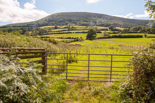 Preview: Farm Gate In The Black Mountains Of The United Kingdom.