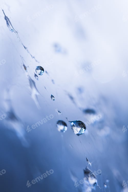 Preview: Abstract Composition With Water Drops, Spiderwebs And Bokeh. Image Has Grain Texture Visible On Its