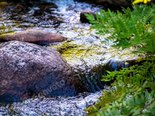 Preview: Tranquill Flowing Water Of A Mountain Stream With Pure Spring Water