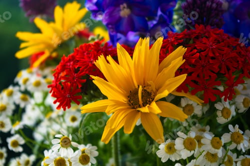 Preview: A Bouquet Of Bright Spring Flowers Of Various Types