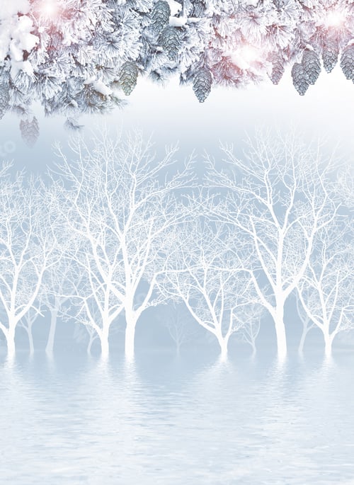 Preview: Winter Landscape.