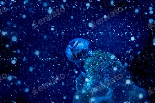Preview: Winter Season And Animals. Falling Snow. Blue Nature Background.