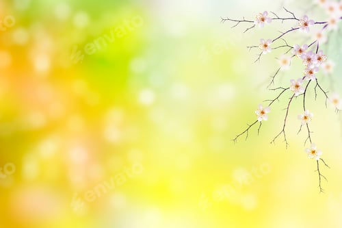 Preview: Blossoming Branch Apple. Bright Colorful Spring Flowers