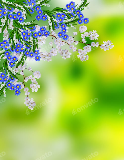 Preview: Blooming Apple Tree