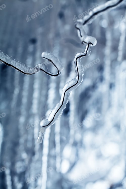 Preview: Ice And Icicles On A Weeping Willow Tree