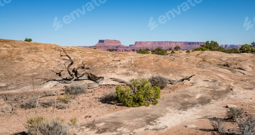 Preview: Slick Rock Walk, Neddles, Canyonelands National Park In Fall, Usa