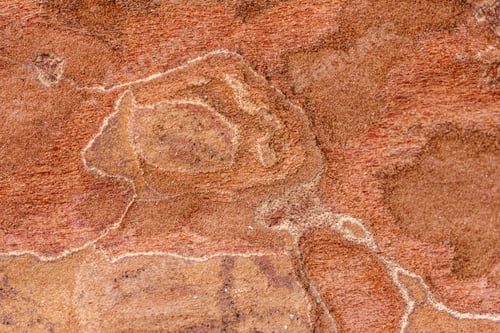 Preview: Red Tree Bark Abstract Close Up Texture In Nature