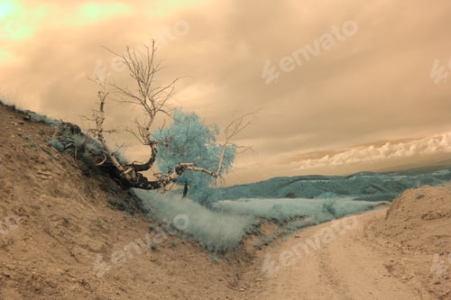 Preview: Infrared Landscape And Details