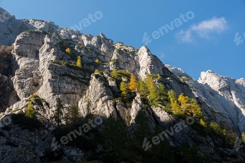 Preview: Autumn In The Mountains