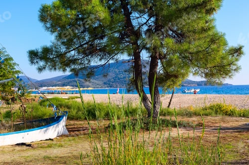 Preview: Sea Vacation Background With Pine Tree At Sandy Beach And Boat Sithonia, Greece