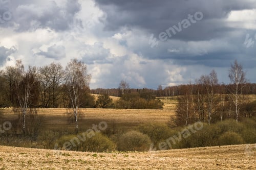 Preview: Processed Cereal Fields In Spring