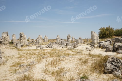 Preview: Pobiti Kamani (The Stone Desert), A Desert-Like Rock Phenomenon Located On The North West Varna