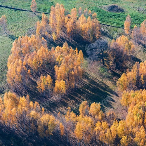 Preview: Aerial View Over The Colourful Trees And Fields In Autumn
