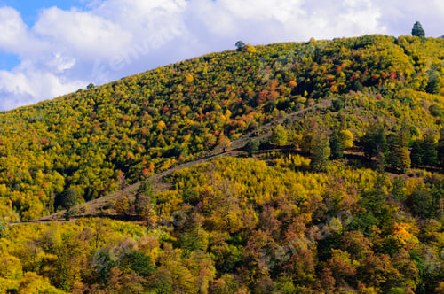 Preview: Autumn Landscape