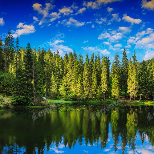 Preview: Lake And Coniferous Forest At Mountain Foot