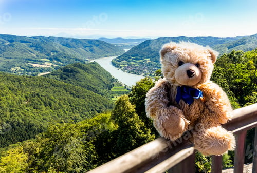 Preview: Teddy Bear Dranik In Wachau Valley, Danube River, Austria.