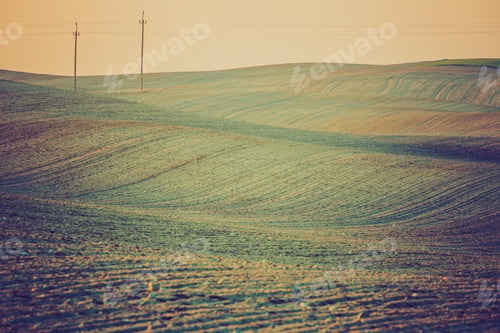 Preview: Beautiful Vintage Photo Of Springtime Field At Sunset. Colorful Photo
