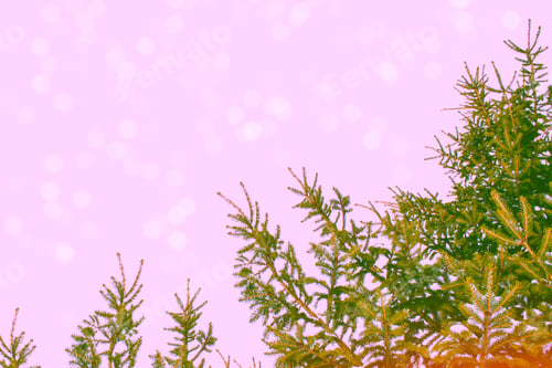 Preview: Frozen Winter Forest With Snow Covered Trees.