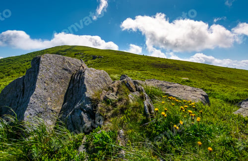 Preview: Rocks And Dandelions On Grassy Hillside. Lovely Summer Nature Scenery In Mountain Under The Blue