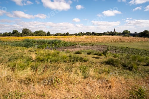 Preview: Rural Landscape During The Uk Summer Heatwave 2018