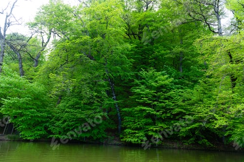 Preview: Parz Lich (Clear Lake) In Dilijan, Armenia
