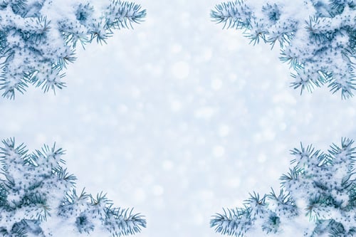 Preview: Frozen Winter Forest With Snow Covered Trees.